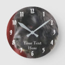 Search for newfoundland dog posters Animal