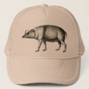 Search for hogs hats Nature