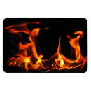 Search for blaze magnets Flames