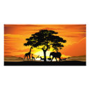 Search for wild africa posters Animals