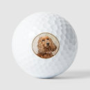 Search for dog golf balls Puppy