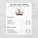 Search for cat flyers Kitten
