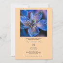 Search for borage Blue