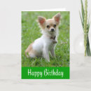 Search for chihuahua birthday cards Puppies