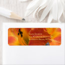 Search for daylily return address labels Botanical