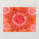 Search for microbiology postcards Medicine