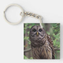 Search for barred key rings Owl