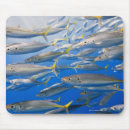 Search for conform mousepads Outdoors