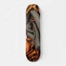 Search for curls skateboards Black