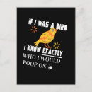 Search for bird sayings postcards Humour