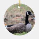 Search for canadian goose christmas tree decorations Nature
