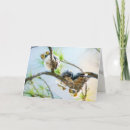 Search for owl blank cards Birds