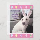 Search for funny easter party invitations Pink