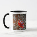 Search for high seas mugs Sealife