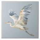 Search for dusty blue tiles Modern