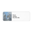Search for mallard return address labels Waterfowl