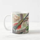 Search for vintage hummingbird mugs Ernst haeckel