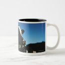 Search for cows in field mugs Agriculture