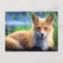 Search for red foxes postcards Nature
