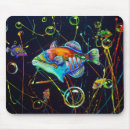 Search for trigger fish Nature
