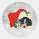 Search for cat and dog stickers Cute