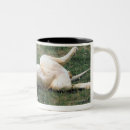 Search for lion picture mugs Kenya