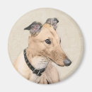 Search for gray red magnets Dog