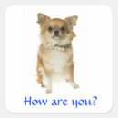 Search for dog hair stickers Cute