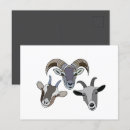 Search for pet goat postcards Cute