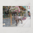 Search for comical sheep postcards Animals