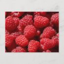 Search for red delicious postcards Fruit