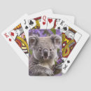 Search for koala playing cards Marsupial