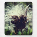 Search for thistle mousepads Photography