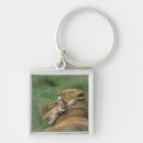 Search for leo key rings Fauna