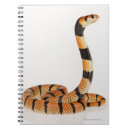 Search for african notebooks Animals