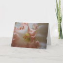 Search for daffodil cards White