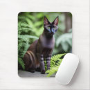 Search for siamese cat mousepads Pet