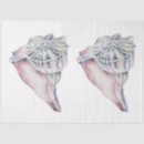 Search for seashell tissue paper Green