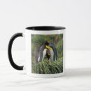 Search for king penguin mugs Nature