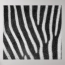 Search for zebra pattern posters Texture