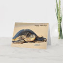 Search for travelling turtle cards Ocean