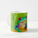 Search for costa mugs Agalychnis callidryas
