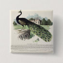 Search for description badges Colour