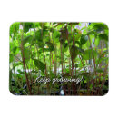 Search for organiser magnets Green