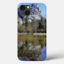 Search for mirrored cases Reflection