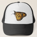 Search for butterfly on black hats Wildlife