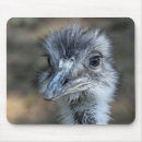 Search for extreme animals mousepads Animal body part