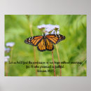 Search for monarch butterfly art Nature