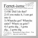 Search for ferret art posters Pet