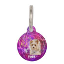 Search for single pet supplies For pets